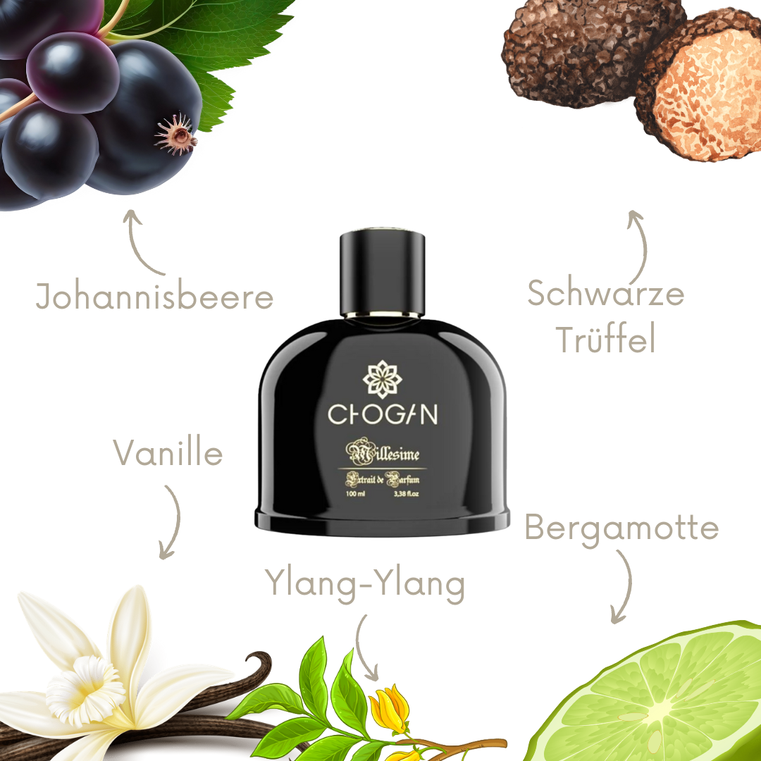 Black Orchid