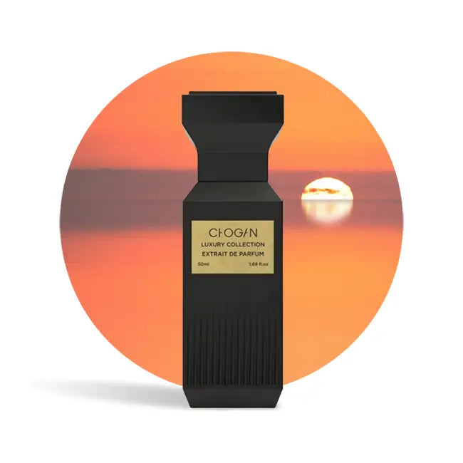 Dolce & gabbana discount velvet amber sun